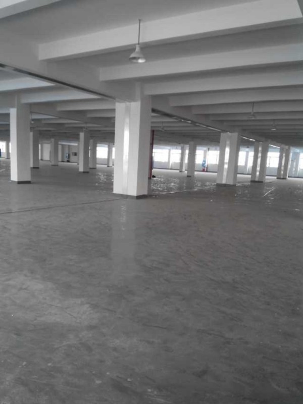 HC805系列數字壓力表